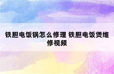 铁胆电饭锅怎么修理 铁胆电饭煲维修视频